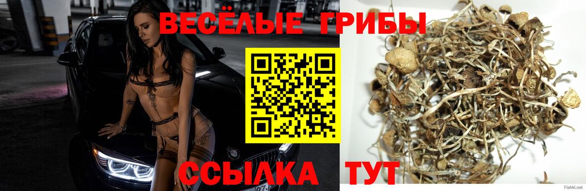 Галлюциногенные грибы Psilocybe  Вход с VPN  магазин    Первоуральск 